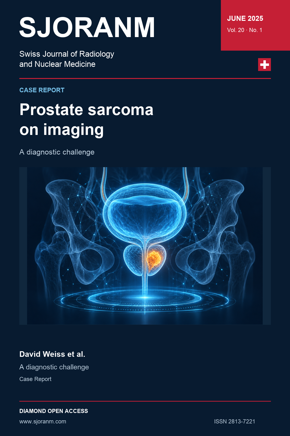SJORANM article cover, Vol. 20 No. 1 (2025). Holographic symbolic illustration for article 66.