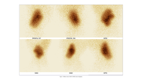 cover_article_sjoranm.v25i1.18